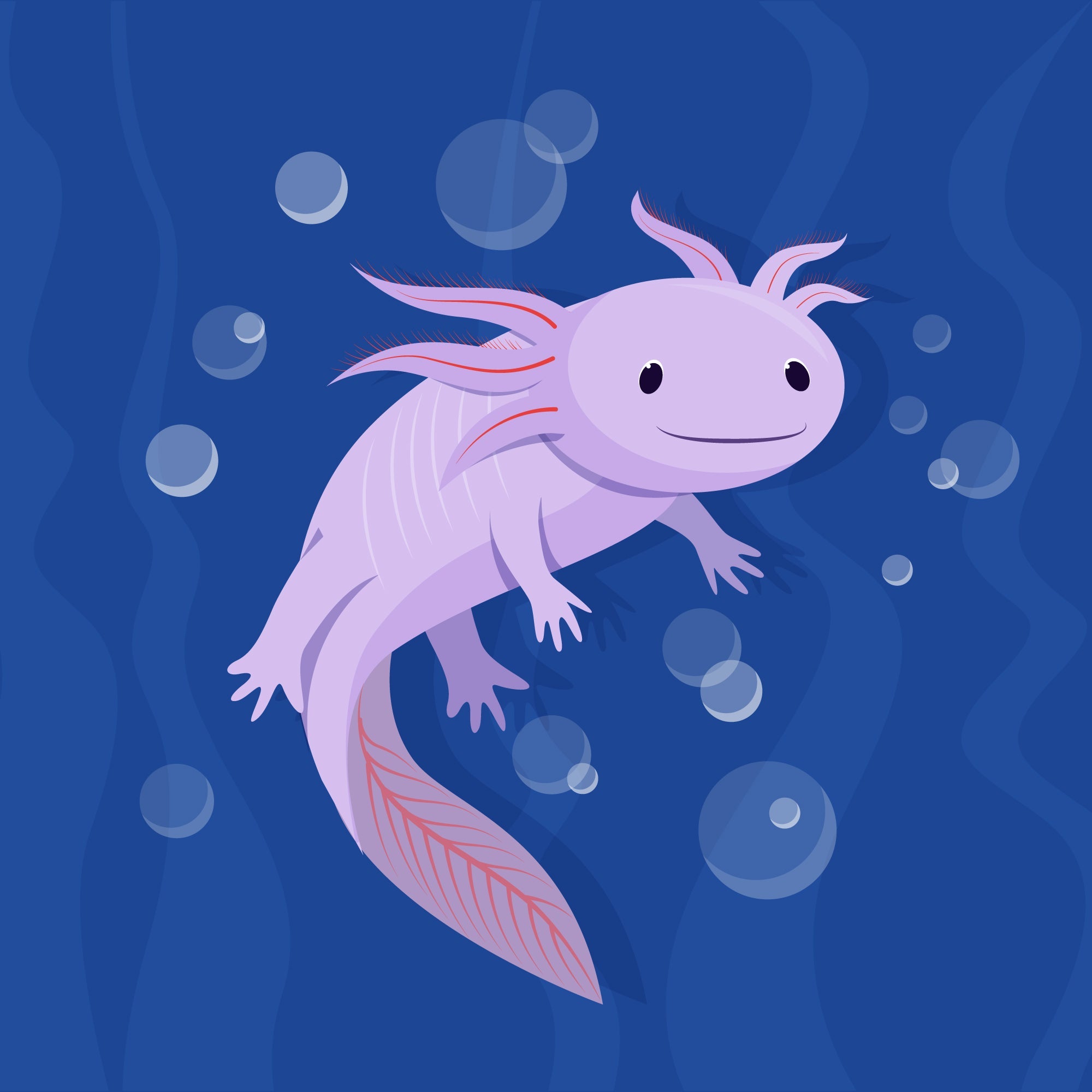 Axolotl – ab wann dürfen sie getrocknete Mehlwürmer fressen?