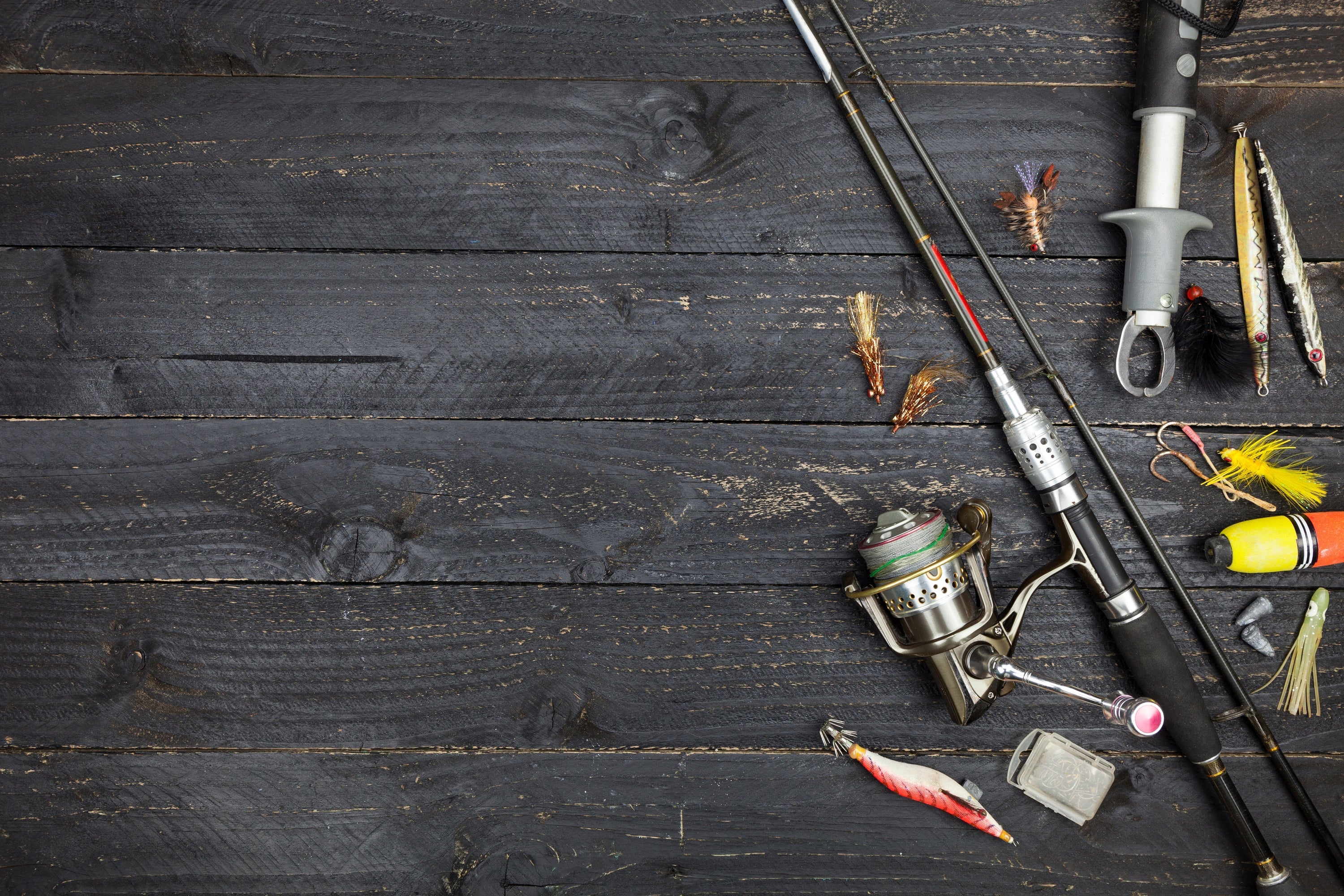 Anglerbedarf: Warum getrocknete Mehlwürmer extrem effektiv sind.