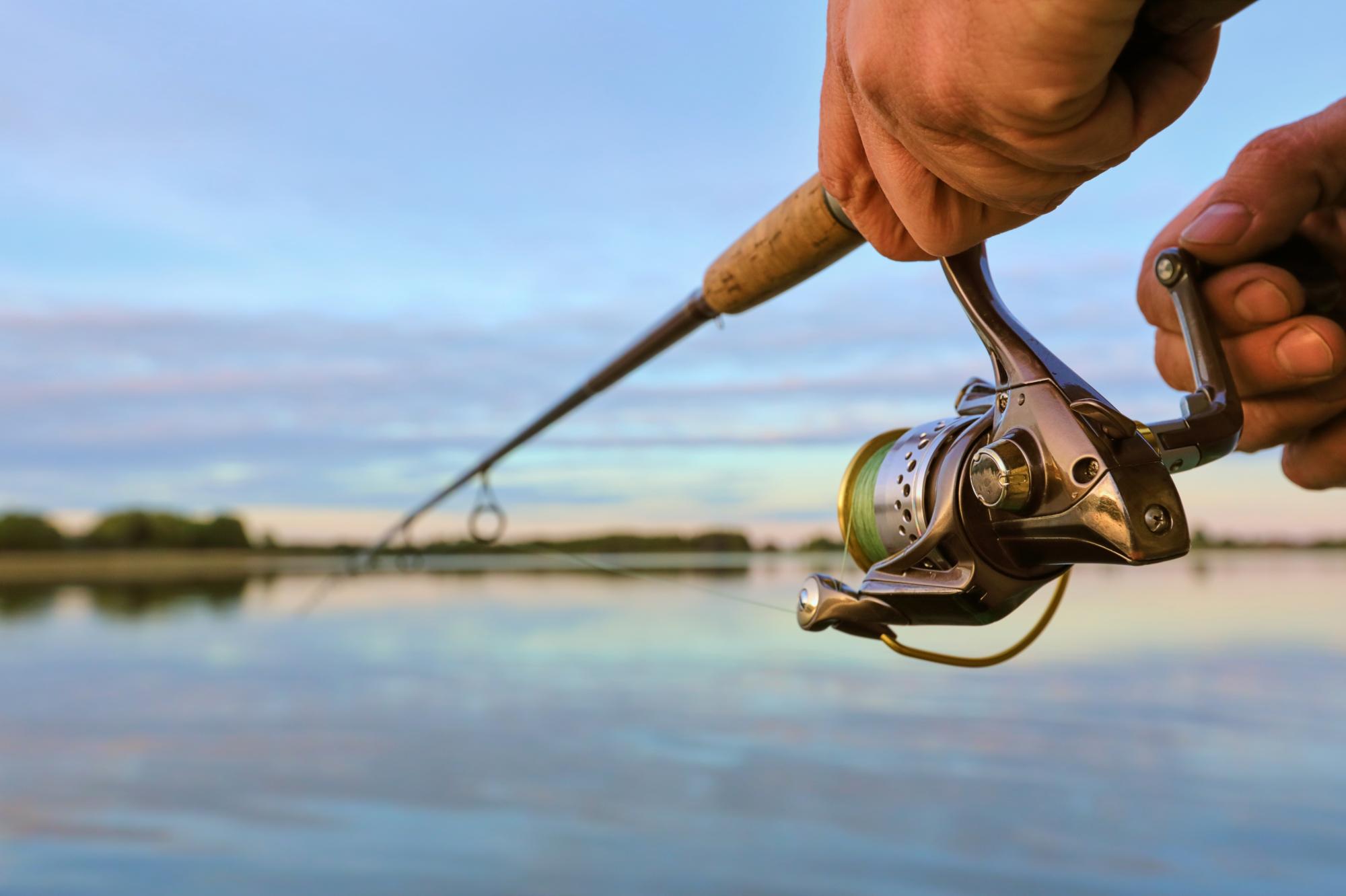 Angeln mit Mehlwürmern: Praxis-Guide für mehr Bisse